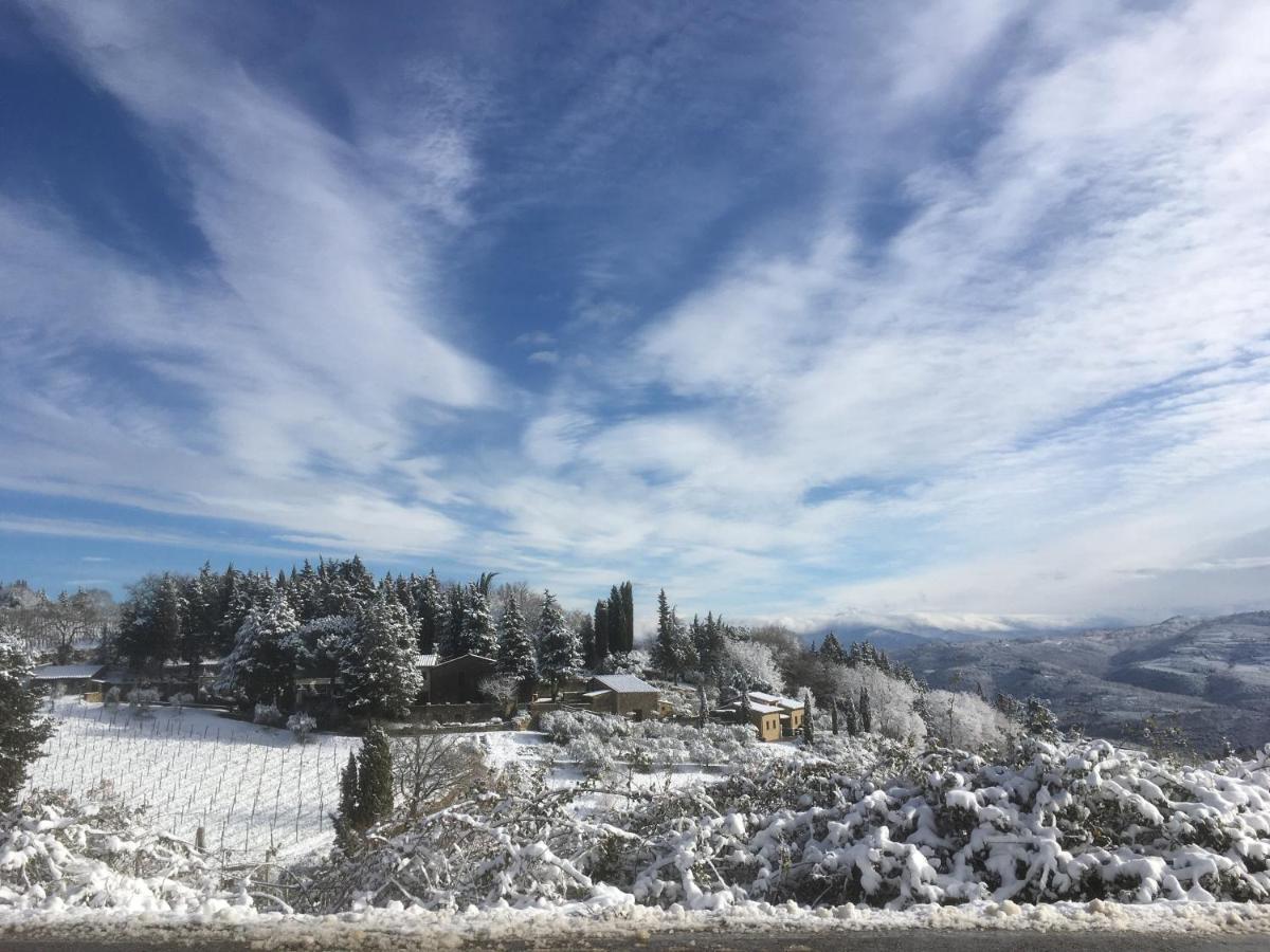 Casa Ercole Farm Stay Greve in Chianti Dış mekan fotoğraf