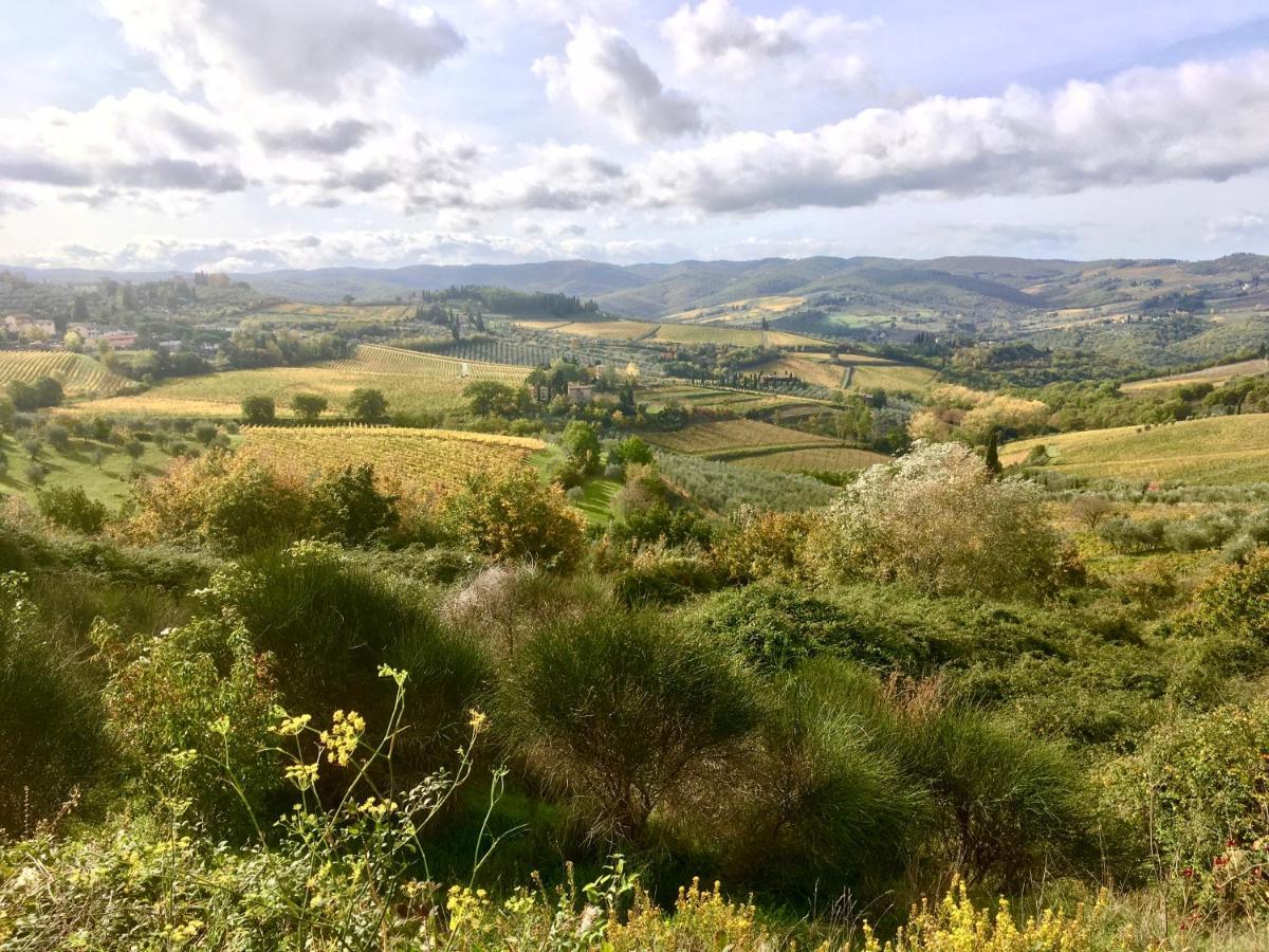 Casa Ercole Farm Stay Greve in Chianti Dış mekan fotoğraf