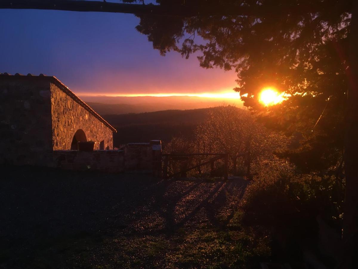 Casa Ercole Farm Stay Greve in Chianti Dış mekan fotoğraf