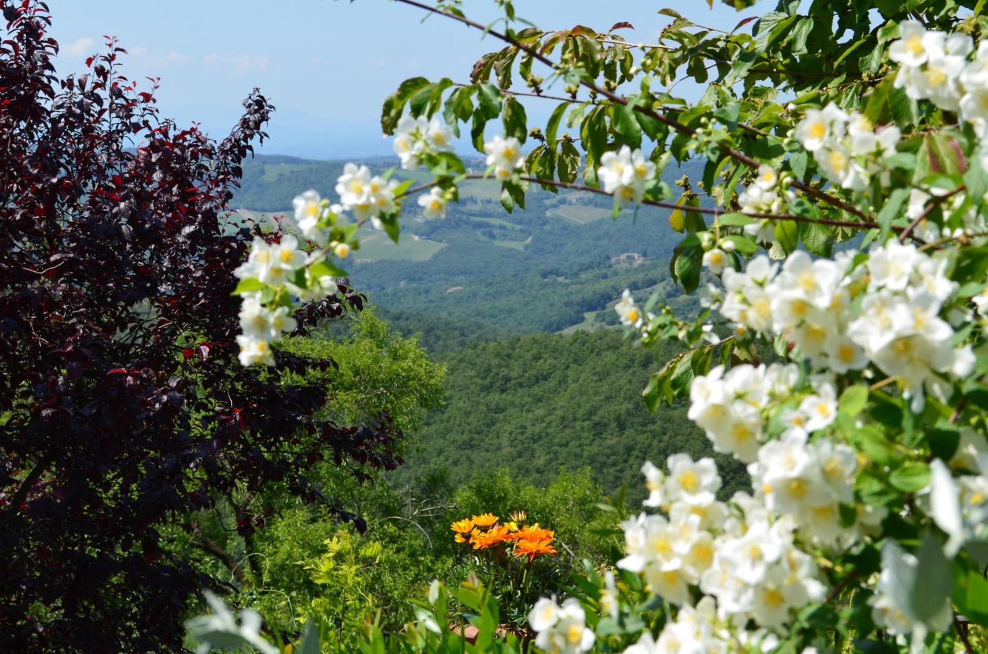 Casa Ercole Farm Stay Greve in Chianti Dış mekan fotoğraf
