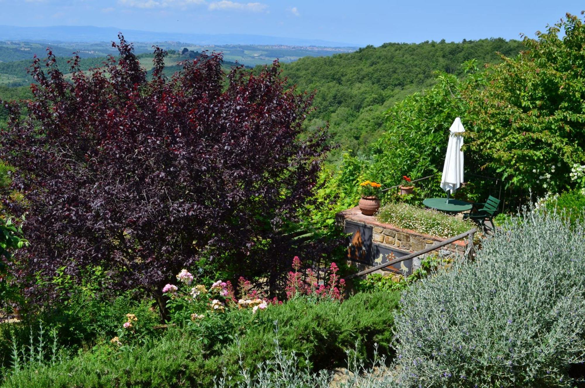 Casa Ercole Farm Stay Greve in Chianti Dış mekan fotoğraf