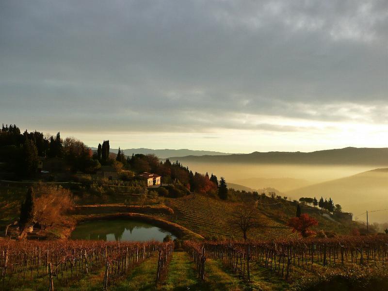 Casa Ercole Farm Stay Greve in Chianti Dış mekan fotoğraf