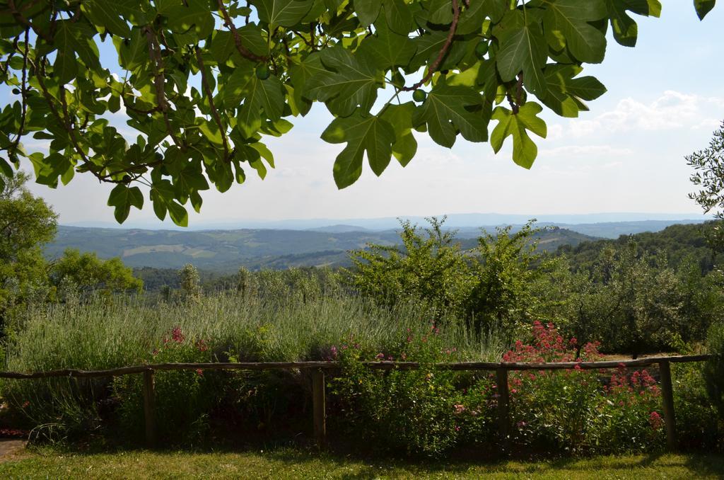 Casa Ercole Farm Stay Greve in Chianti Dış mekan fotoğraf