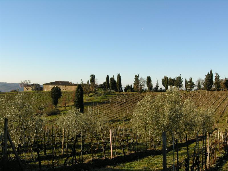 Casa Ercole Farm Stay Greve in Chianti Dış mekan fotoğraf
