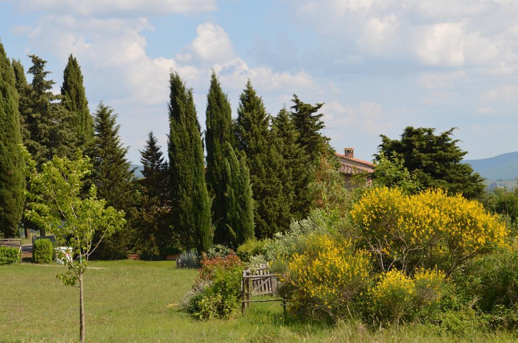Casa Ercole Farm Stay Greve in Chianti Dış mekan fotoğraf